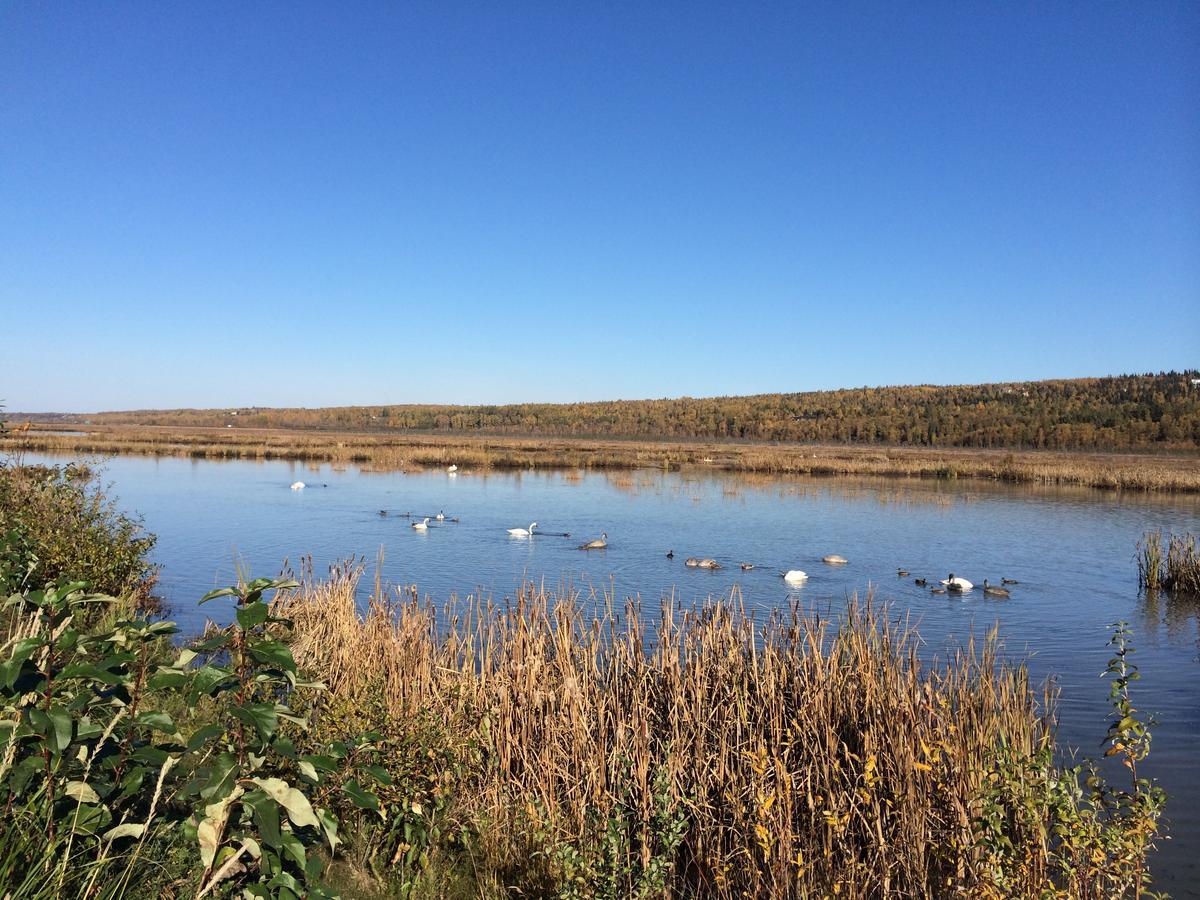 Reflection Lake Bed And Breakfast Анкоридж Екстер'єр фото